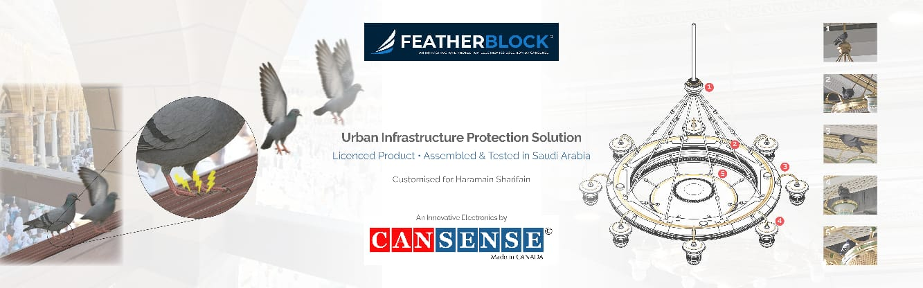 Cansense web communication mockup