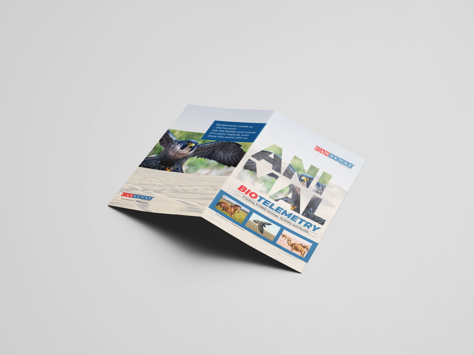 Cansense animal biotelemetry flyer mockup