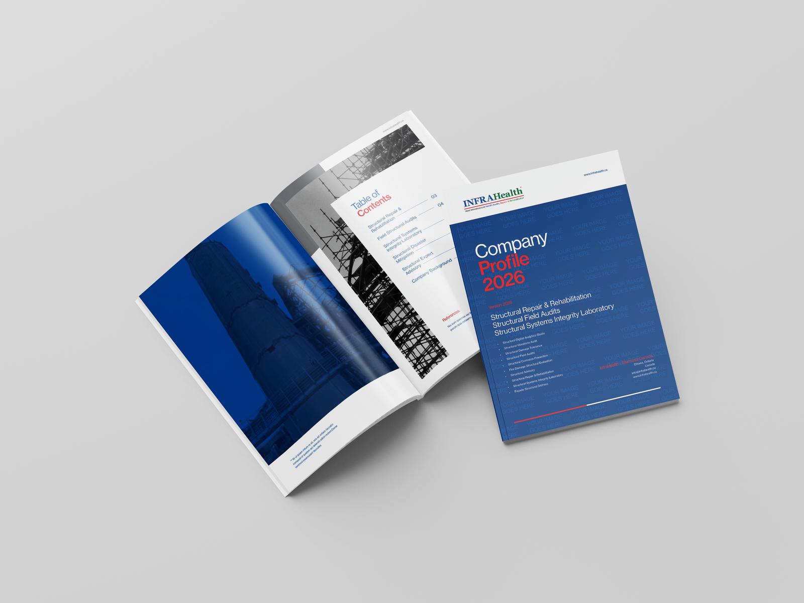 InfraHealth project preview